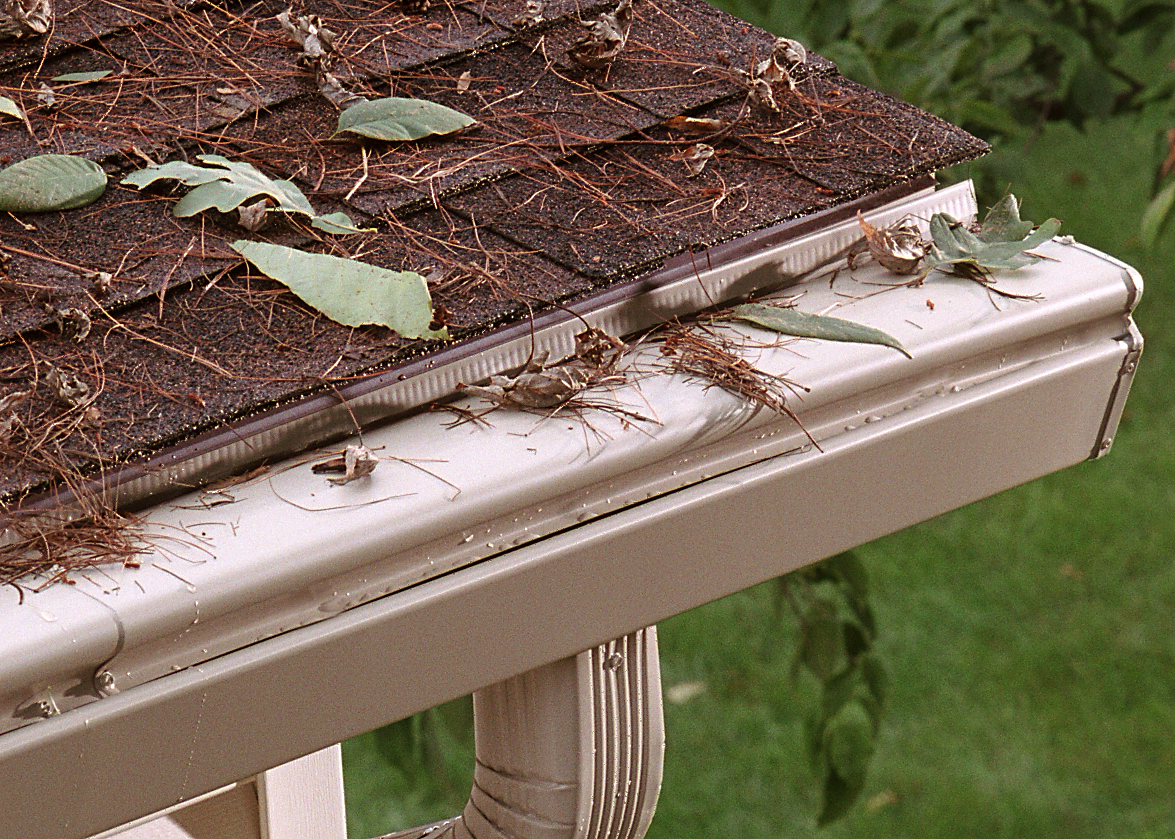 8 Northern Virginia Gutters Cleaning & Repair Siding, Roofing, Windows