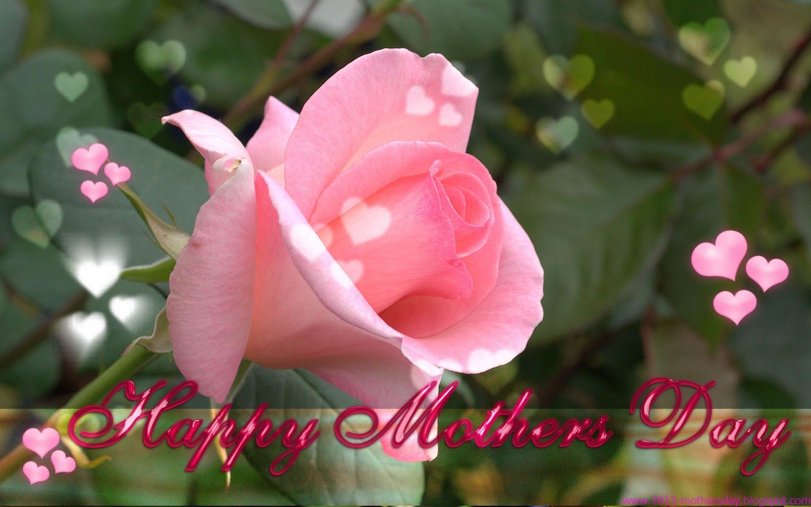 May 10th 2013: Happy Mother's Day Weekend! - Northern Virginia ...