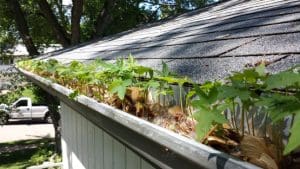 How often to clean gutters