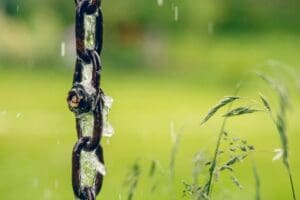 Rain water harvesting through rainchain