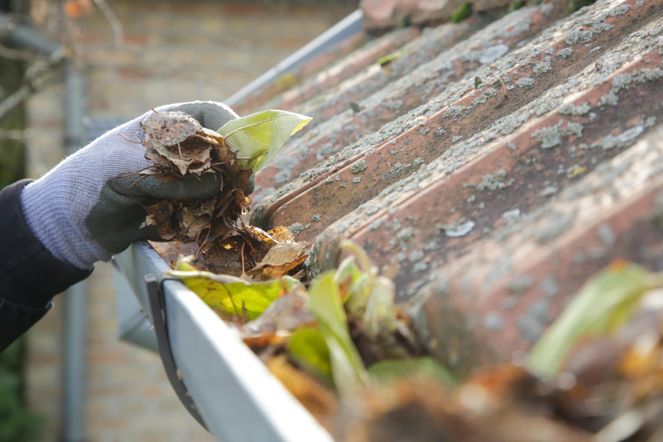 Gutter Cleaning in Arlington VA